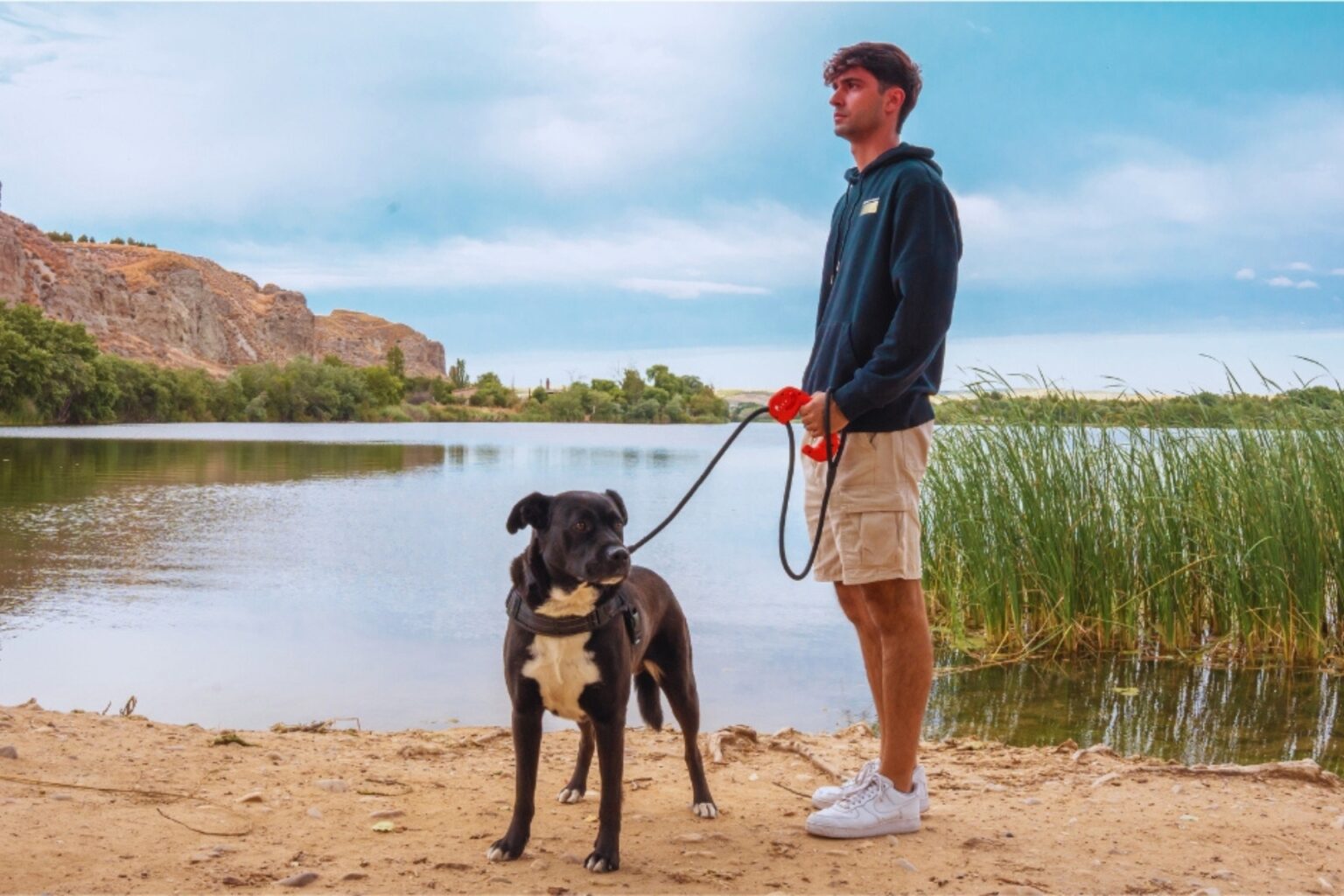 2 3 ¿Cuántas veces al día hay que pasear a tu perro? Guía completa según su edad y energía ¿Cuántas veces al día pasear a tu perro?
