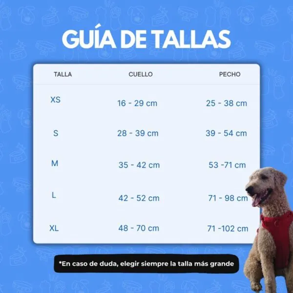 2 4 600x600.jpg 1 Arnés para perro - Azul 2 4 600x600.jpg