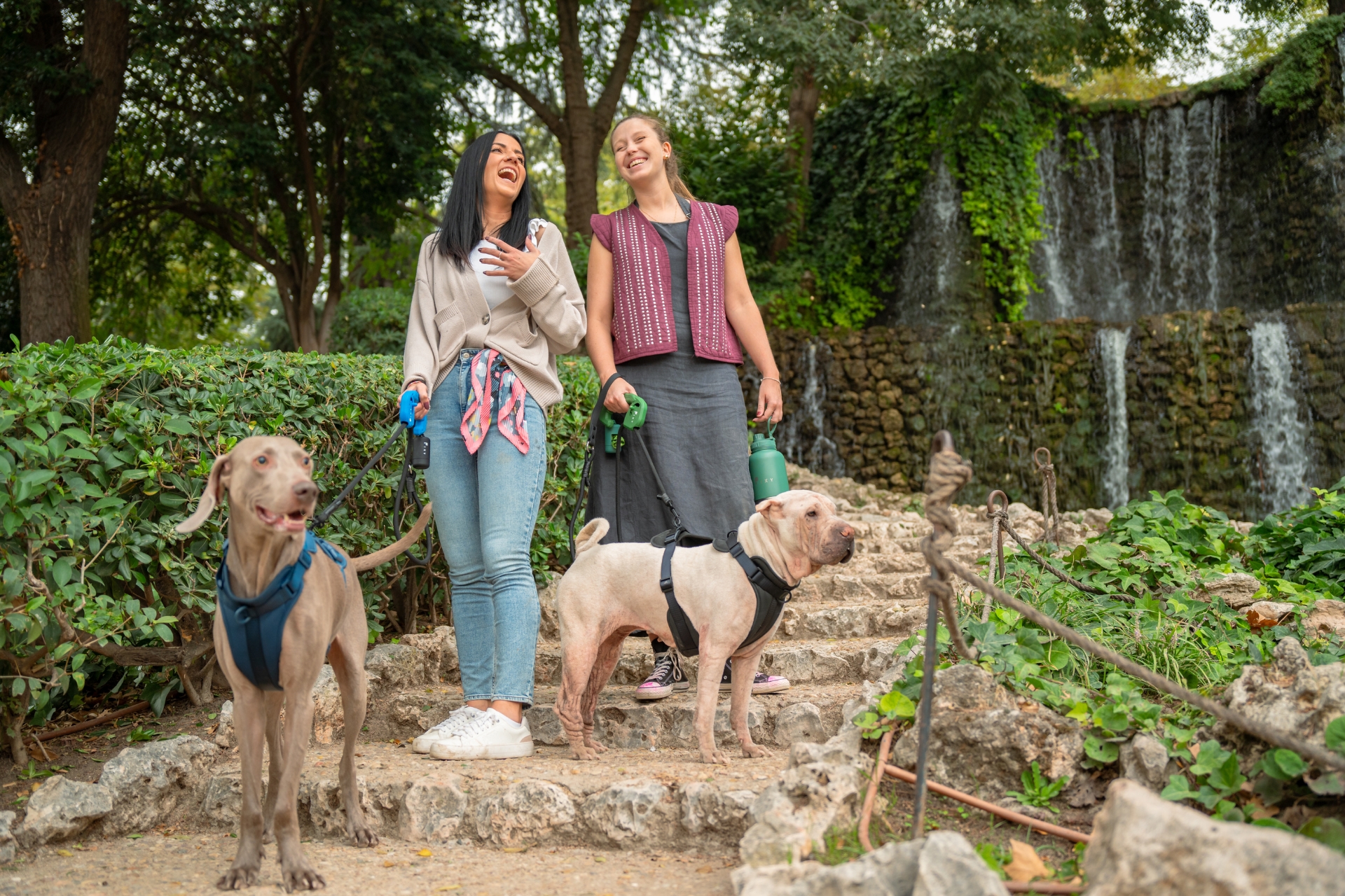 3 2 ¿Cuántas veces al día hay que pasear a tu perro? Guía completa según su edad y energía 3