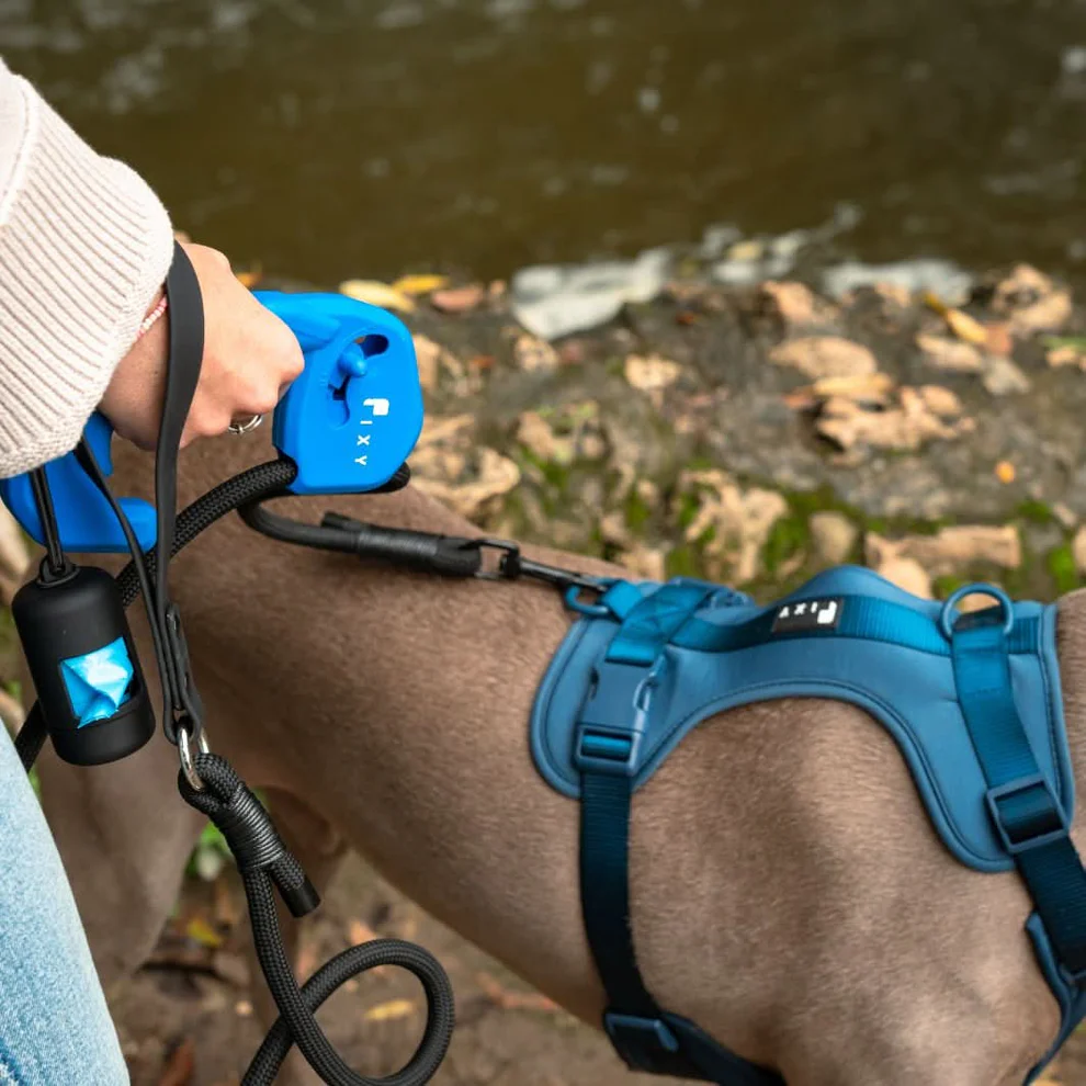 Arnes azul 2 Descubre cómo FIXY puede transformar tus paseos con tu perro