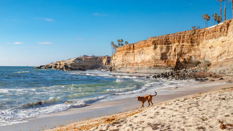 Captura de pantalla 2024 07 Mejores playas para perros en España Playas para perros