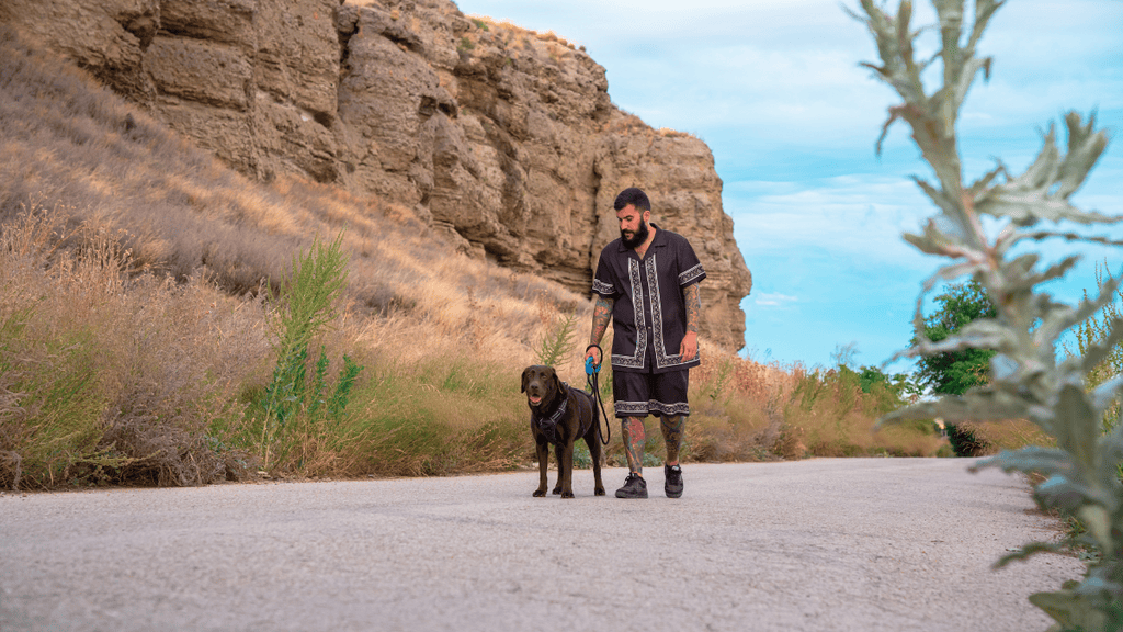 FIXY correa Paseos seguros con tu perro