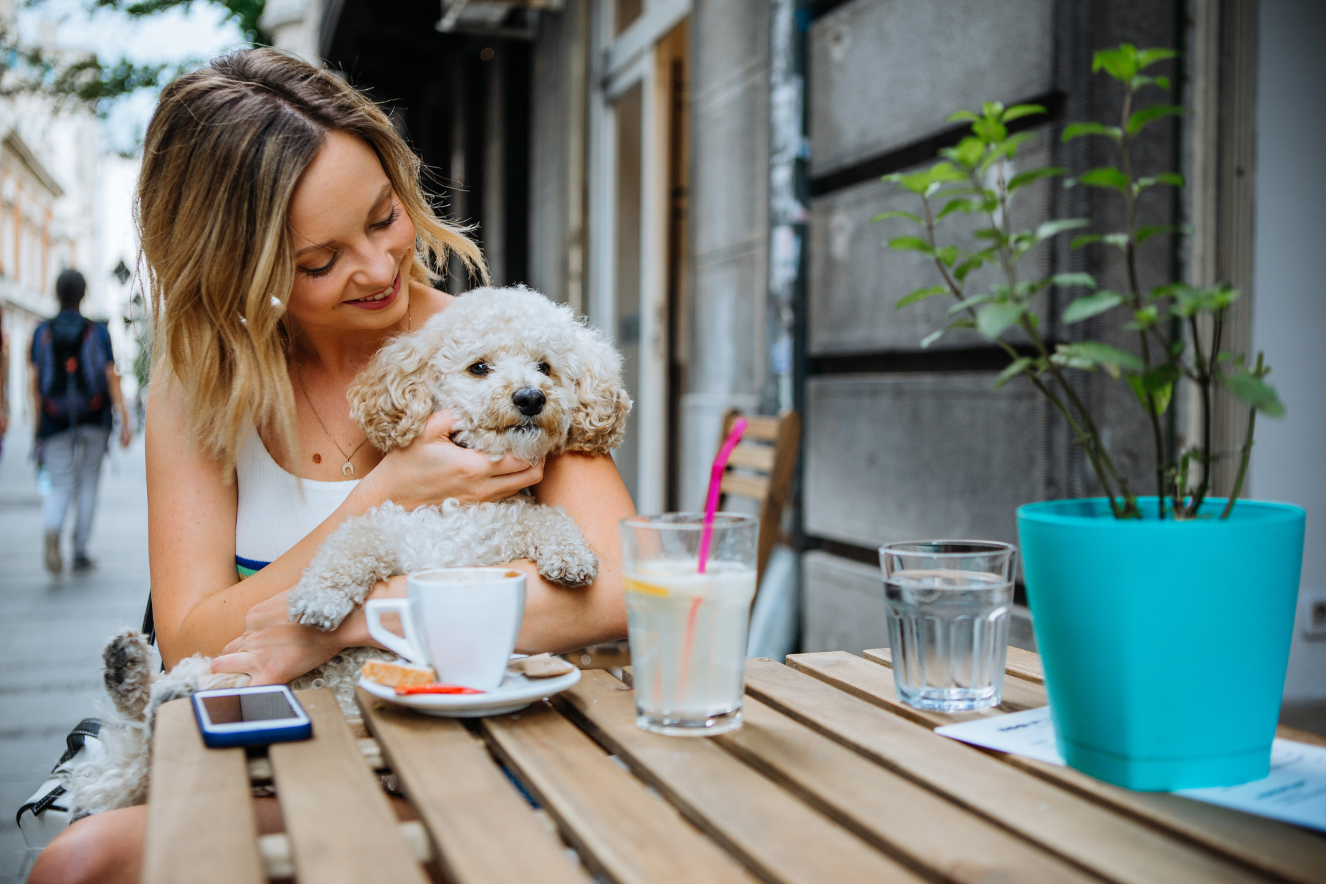 dog cafe 1 Dog cafés en España: una nueva forma de enriquecer los paseos con tu perro Café pet-friendly con terraza al aire libre y mascotas disfrutando con sus dueños.