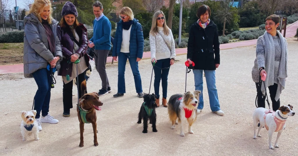 perro en la ciudad