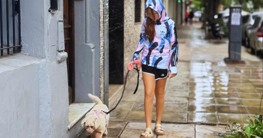 perro en la ciudad